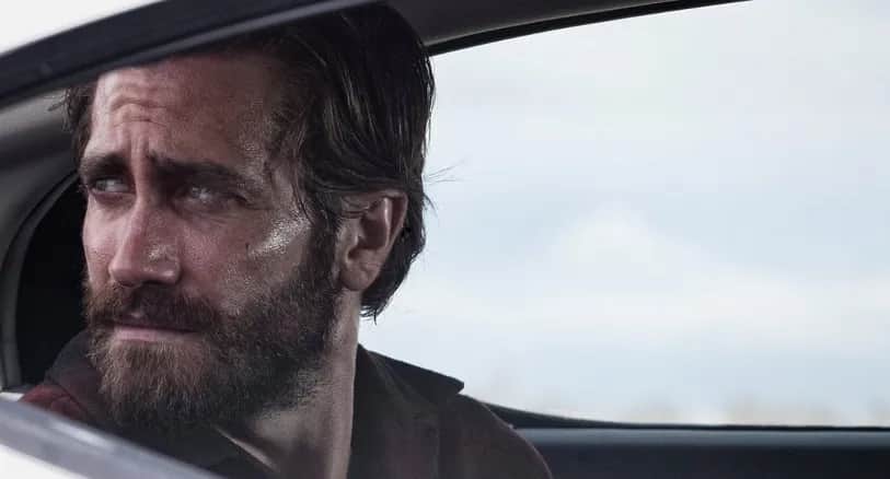 Zwierzęta nocy na Filmwebie - wszystko co musisz wiedzieć o filmie