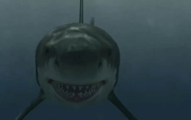 Rekin zabójca: Thriller z polowaniem na rekina na Filmweb