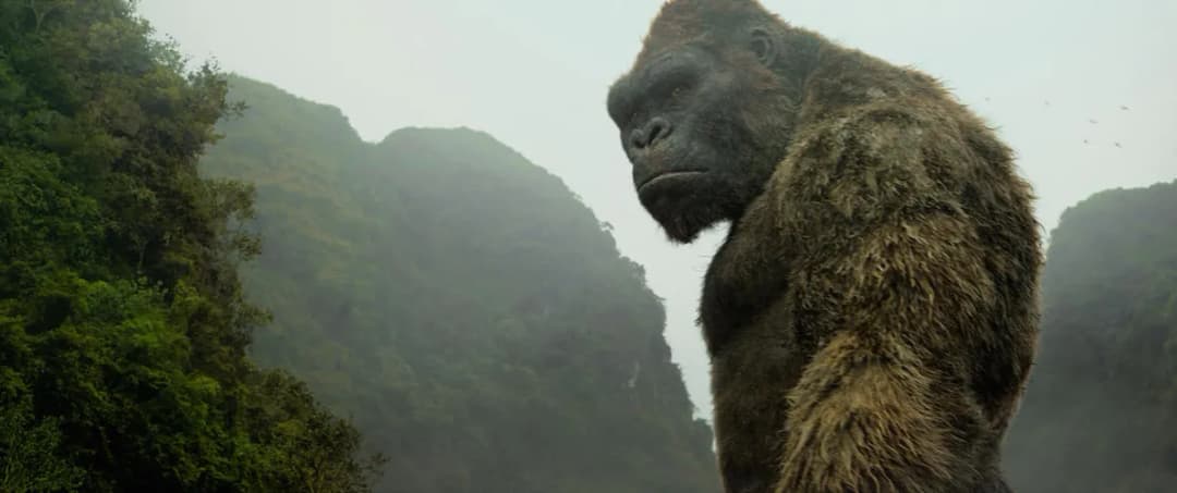 King Kong wyspa czaszki: Wszystkie szczegóły o filmie, które musisz znać